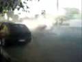 Opalão fritão; Burguees