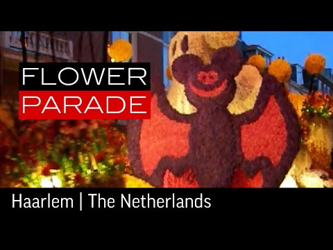 0 La Parada de las Flores en Amsterdan