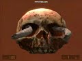 Half-Life 2: Death Rides into Black Mesa East