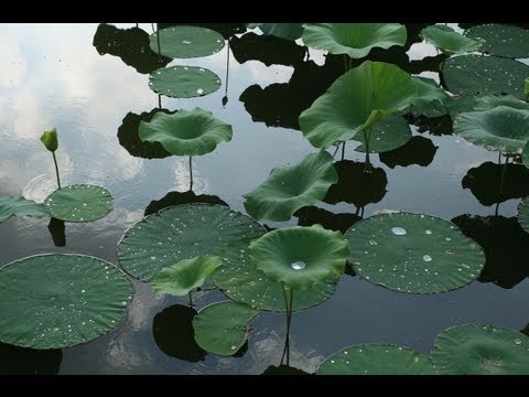 how to drain ro tank