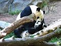 mother and daughter playtime.