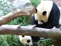 mother and daughter playtime.