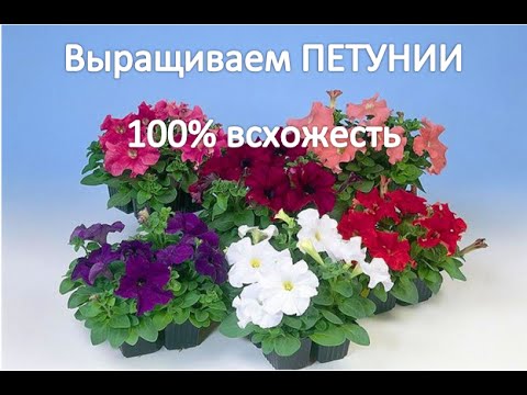 чертежи бытовка своими руками чертежи бытовка своими руками