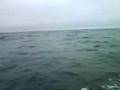 waldo`s boat