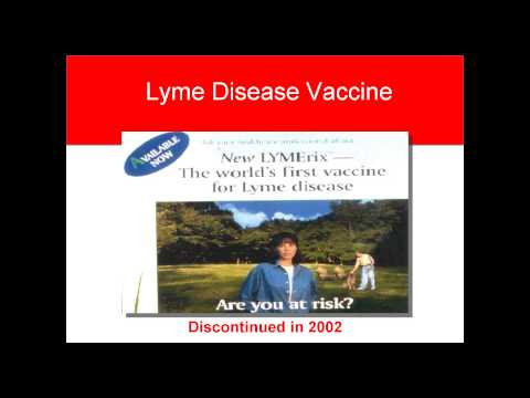 how to treat lyme disease in dogs