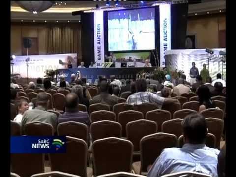 SA’s premier wildlife auction booming despite rhino poaching SA’s premier wildlife auction booming despite rhino poaching