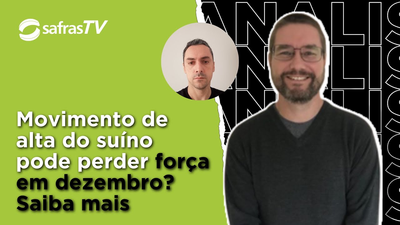 Analista avalia se movimento de alta do suíno pode perder força em dezembro