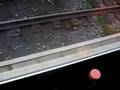 Rosenheim 2