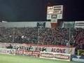 Widzew - Lech 2008, po bramce dla Widzewa