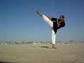 toufiq