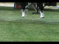 Sneak Preview of the Martin Jetpack