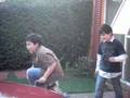 videos de el harley
