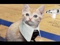 Feline Future News #2: LeBron James' Neck Beard/Kanye West's Twitter Feud