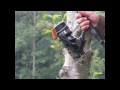 Prezerané video