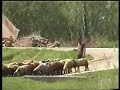 Erzincan Mertekli K�y� B�l�m 2