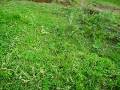 videos de DEMIRZINHO DANDO DEMIR DE CAPOTE NO DIRT DO SITIO DO GAMBA