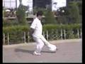 CHINESE kongfu 洪敦品 螳螂拳 武当 少林 Tanglang Wushu GongFu 武术 功夫