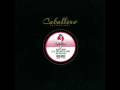 Bush II Bush feat. Chelonis R Jones - My Salvation (Jesse Garcia Remix)
