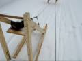 Trottinette � neige avec Husky tra�neau � chien en janvier 2009