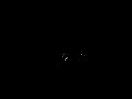 pj-harvey-when-under-ether-live-2007-lyrics.html