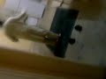 qaiser-in-hot-mode.mp4