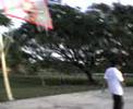 basketball noober