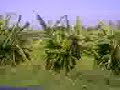 SABARI EXPRESS
