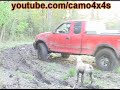 SEE DUMB DOG RUNNING FOR HIS LIFE...