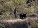 V Proyección de la Peña Taurina 