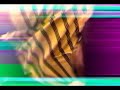 elefante y gonorrea live