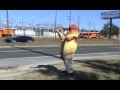 The Doggery:  The Dancing Weiner