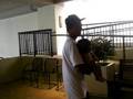 videos de Babe, Meilin and Josh 2