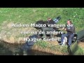videopreview