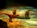 Velociraptors