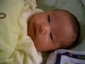 ゆず動画