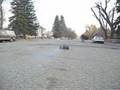 Losi LST 2 Racebashing rc drag drifting mudding racing Biggar