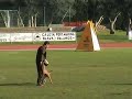 Campeonato nacional RSCE 2005Ô des Loups MutinsGuia: Juan Valero