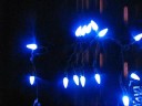 www.imaginarycolours.com presents colorwave color-changing led light string. sorry it is so hard to make a nice film of led lights. these are really beautiful. satisfaction guaranteed!