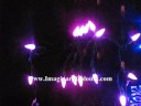 www.imaginarycolours.com presents colorwave color-changing led light string. sorry it is so hard to make a nice film of led lights. these are really beautiful. satisfaction guaranteed!
