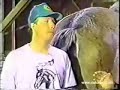 Peidos ao vivo