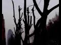 a-flying-man-in-barcelona-un-hombre-volador-en-barcelona.html