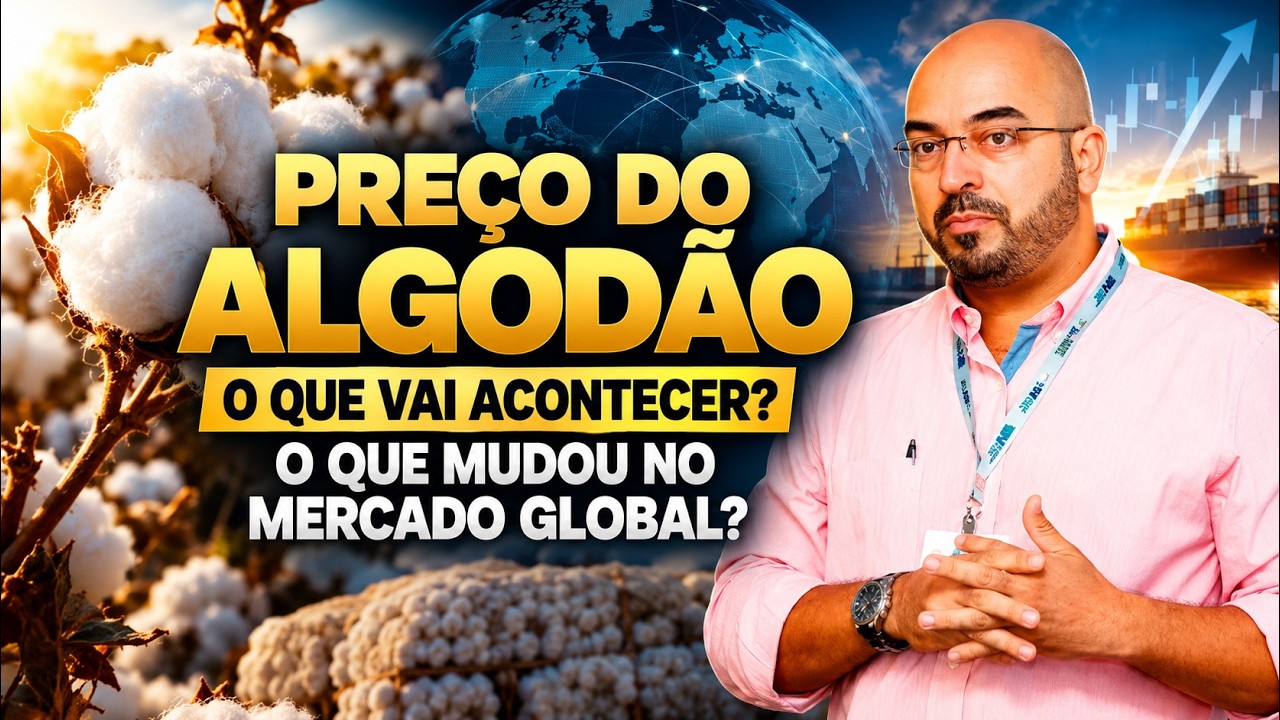 Preço do Algodão - O Que Vai Acontecer? O Que Mudou no Mercado Global? – LICIO PENA