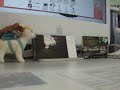 pokiQ pokiQ