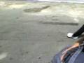 videos de entrando de férias