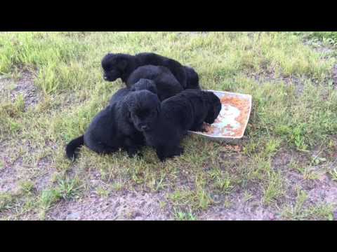 Eating lunch and learning