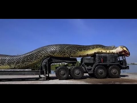 Посмотреть