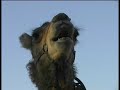 al ol is yair's most famous piece. it is the name of a desert wind. extract from the video 