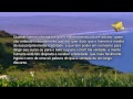 www.josemarbessa.com Para guardar-nos de todos os erros, prestemos atenção aos perigos que assaltam esta questão de ambos os lados. Se um homem é informado que perdeu todo o senso daquilo que é justo, imediatamente faz disso uma desculpa para a preguiça, e, porque não possui forças próprias para praticar a justiça, trata o assunto inteiro com indiferença.