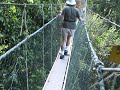 Mutiara Taman Negara Walking in the air Malaysia Mutiara Taman Negara Walking in the air Malaysia