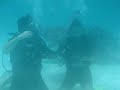 Stingray City
